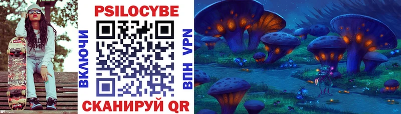 Псилоцибиновые грибы Psilocybe  Иноземцево 
